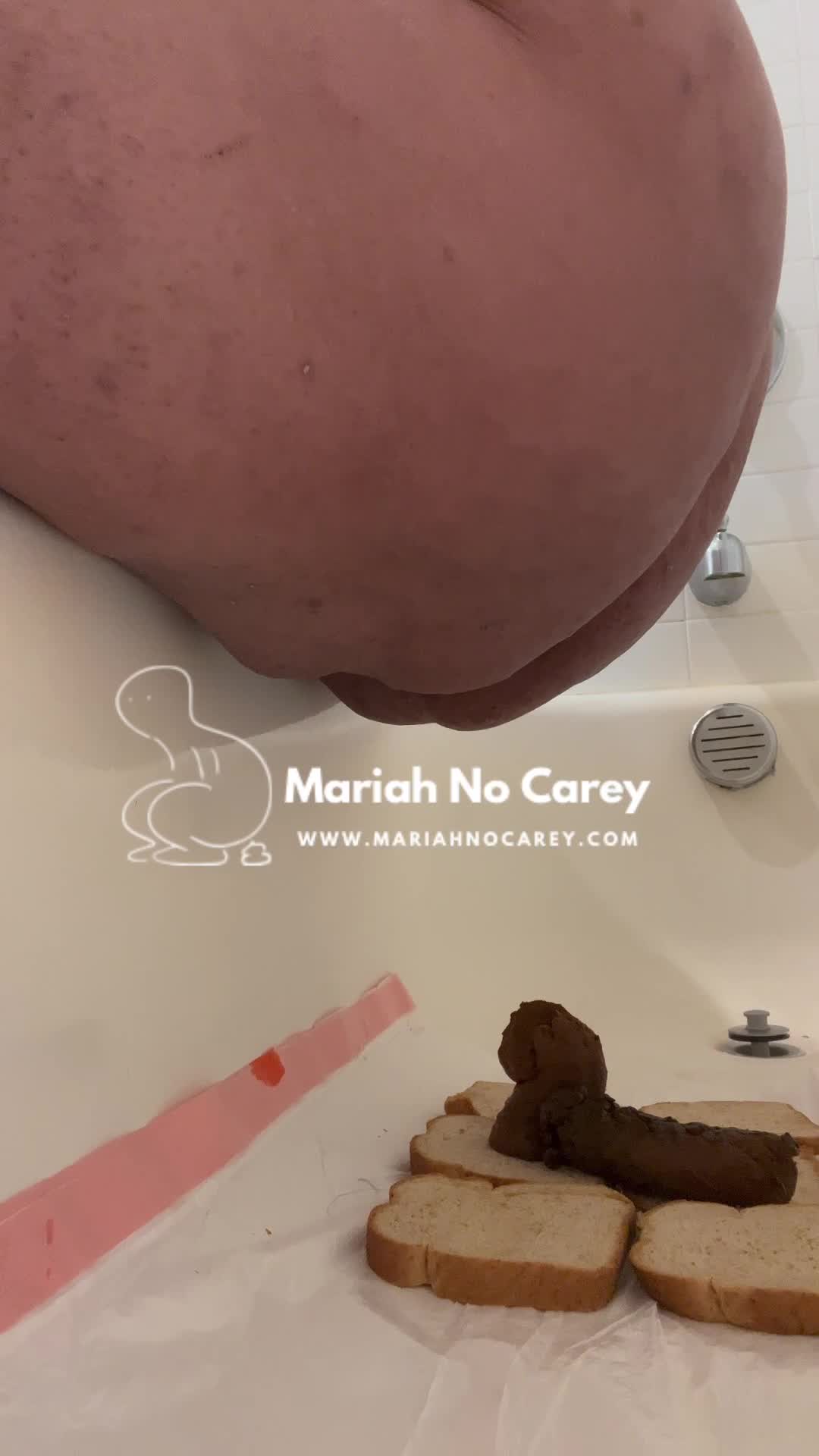 Fresh Poop Sandwiches video thumbnail